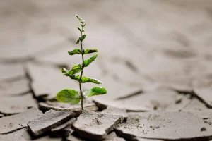 تاب آوری در روانشناسی به چه معناست؟