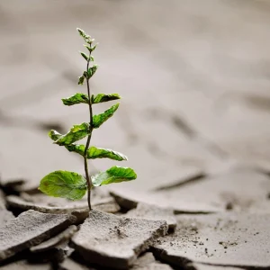 تاب آوری در روانشناسی به چه معناست؟